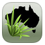 Environmental Weeds of Australia