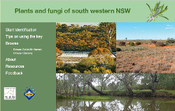 Plants and Fungi of south western New South Wales