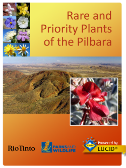 Rare and Priority Plants of the Pilbara