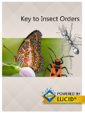 Lucid
              Insect Order Mobile App