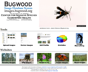 Bugwood Images