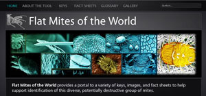 Flat Mites of the World