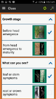 MyCrop Wheat - Selection of
                    clues