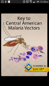Key to Central American Malaria Vectors