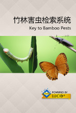Bamboo pests of China Lucid Key