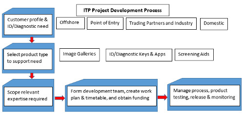 ITP Lucid key project development process