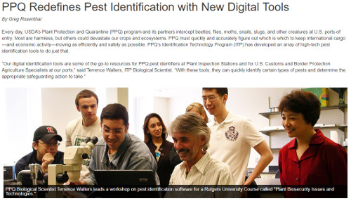 PPQ Pest Identification Article