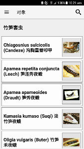 Bamboo Pests Lucid App interface screen