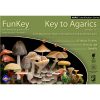 FunKey - Key to Agarics